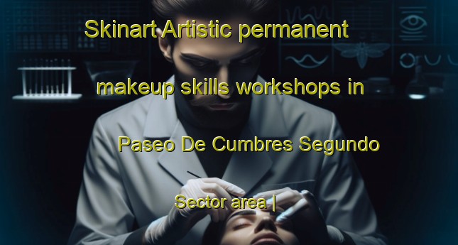 Skinart Artistic permanent makeup skills workshops in Paseo De Cumbres Segundo Sector area | PermanentmakeupTraining | PermanentmakeupClasses | SkinartTraining-Mexico